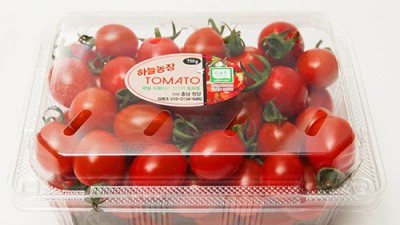 ✨ 놓치면 후회! 산정마을 대추방울토마토 특가 후기🍅