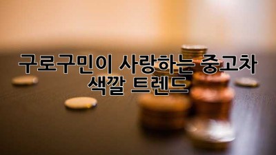 구로구민이 사랑하는 중고차 색깔 트렌드! 🎨🚗